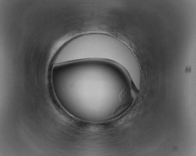 X0000093530248200710121155