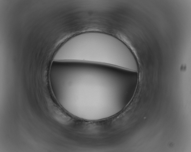 X0000093530249200710121155