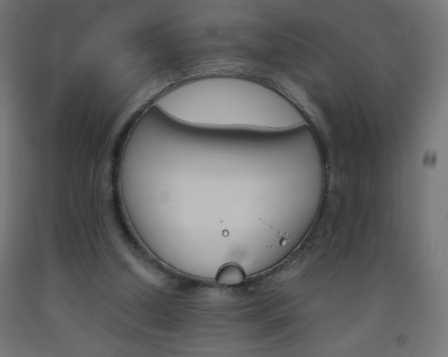 X0000093530250200710121155