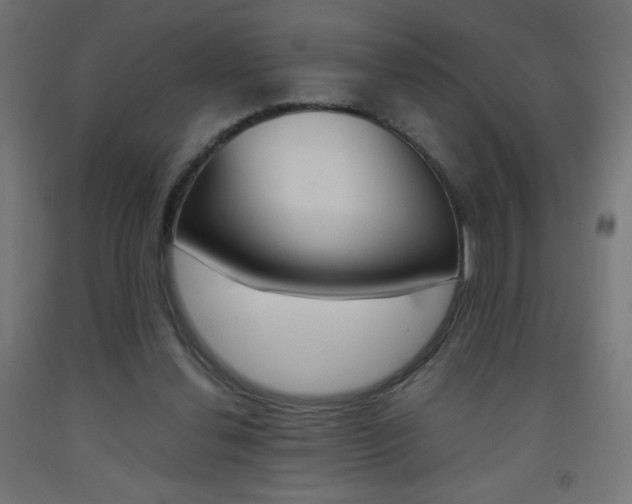 X0000093530252200710121155