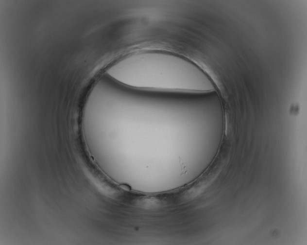 X0000093530253200710121155