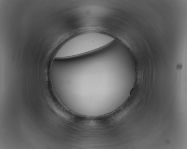 X0000093530254200710121155