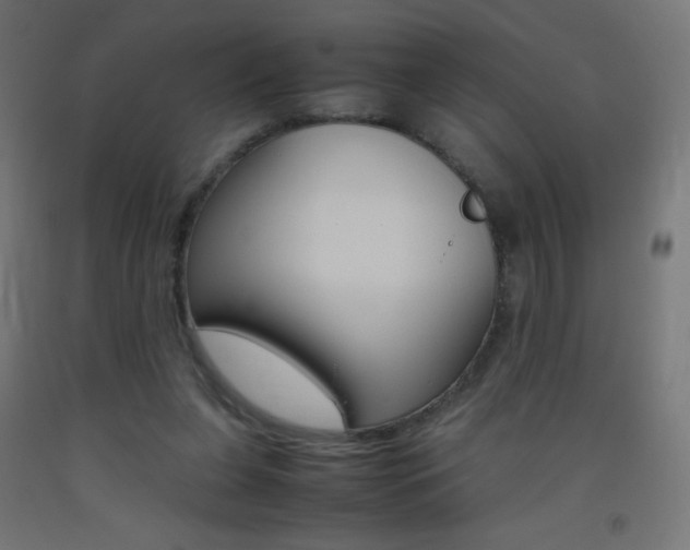 X0000093530255200710121155