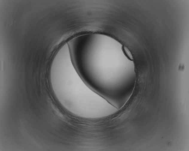 X0000093530256200710121155