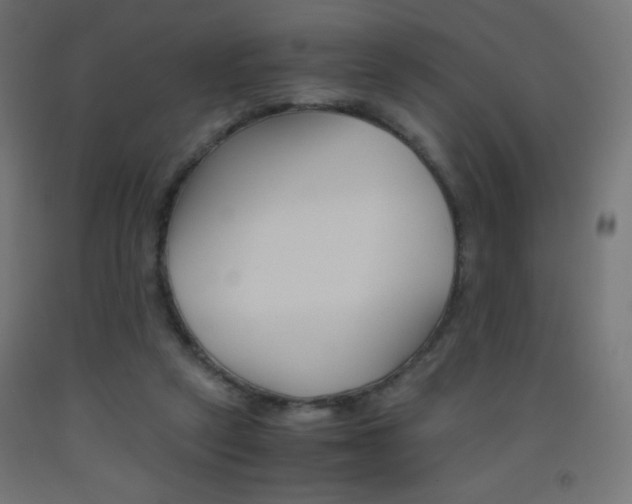 X0000093530257200710121155