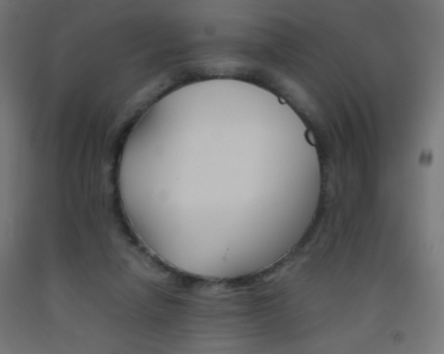 X0000093530258200710121155