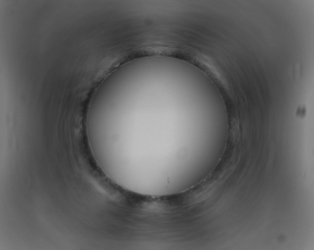 X0000093530259200710121155
