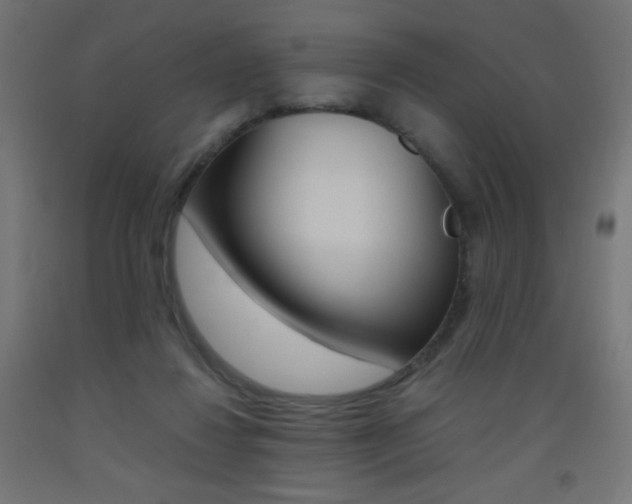 X0000093530260200710121155