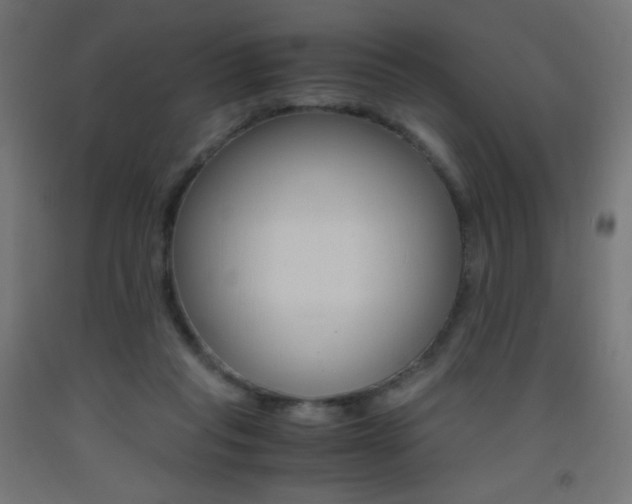 X0000093530261200710121155