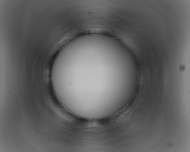 X0000093530262200710121155