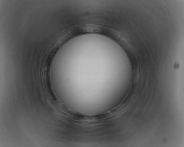 X0000093530263200710121155