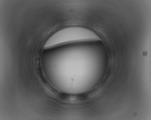 X0000093530264200710121155