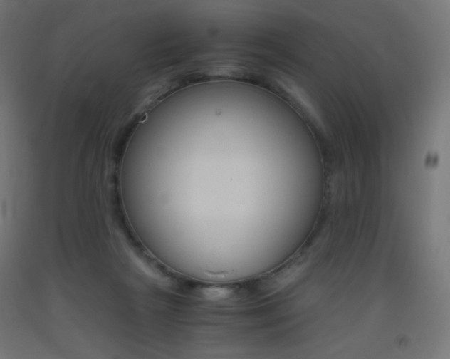 X0000093530265200710121155