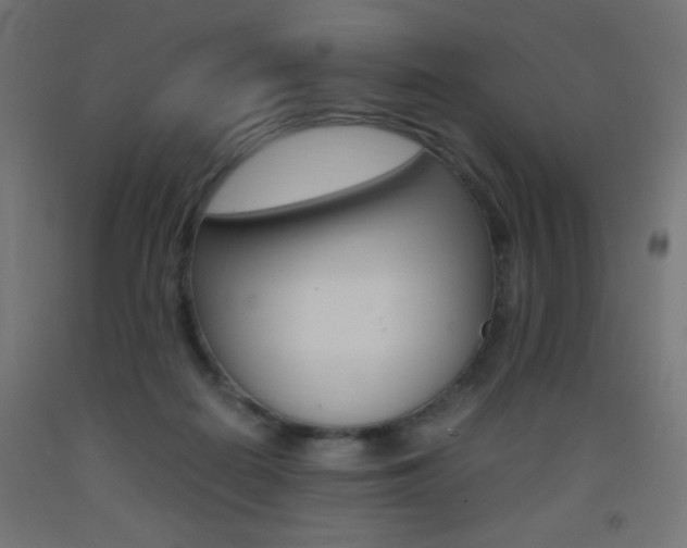 X0000093530266200710121155