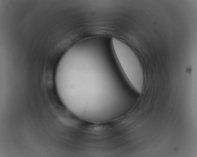X0000093530267200710121155