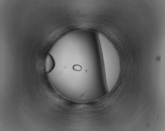X0000093530268200710121155