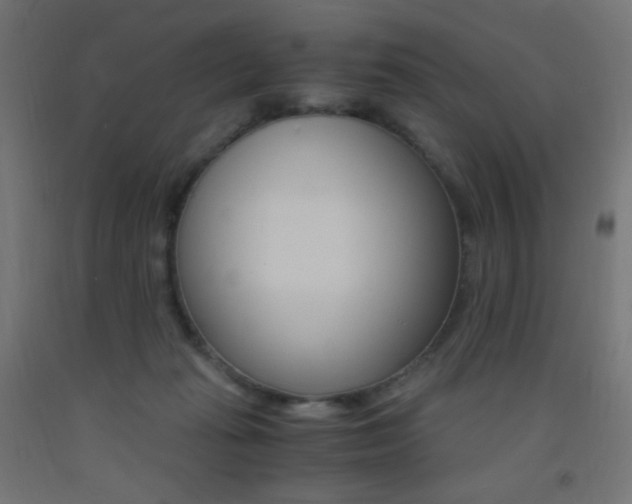 X0000093530269200710121155