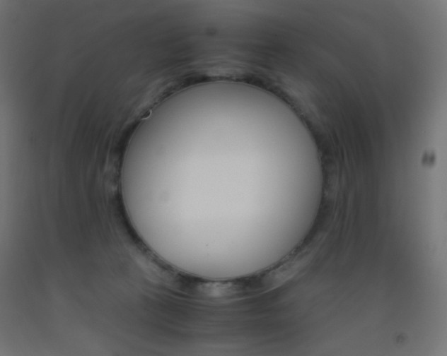 X0000093530273200710121155