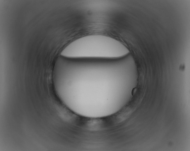 X0000093530274200710121155