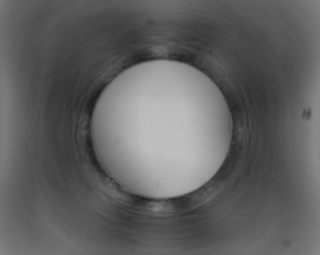 X0000093530275200710121155