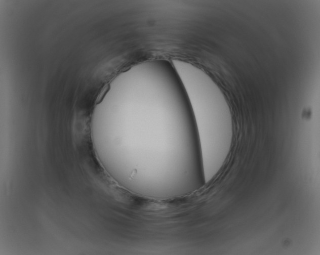 X0000093530276200710121155