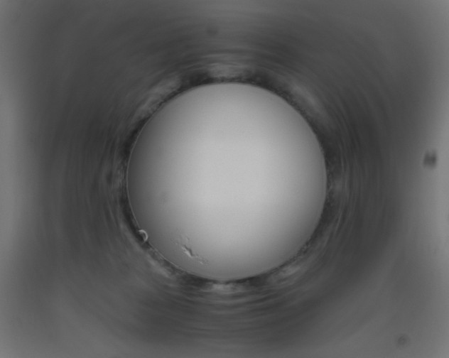 X0000093530277200710121155