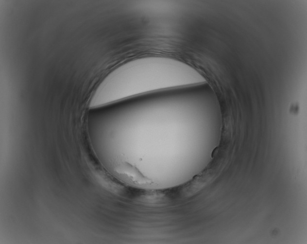 X0000093530278200710121155