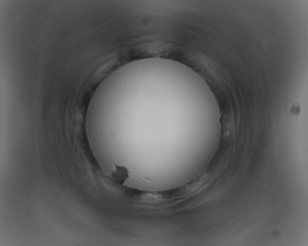 X0000093530279200710121155