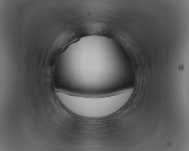 X0000093530280200710121155