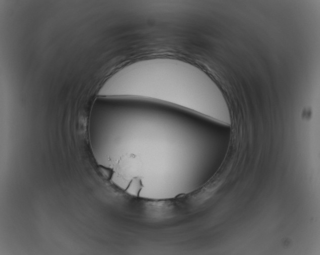 X0000093530281200710121155