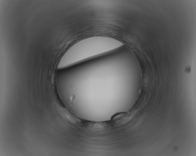 X0000093530282200710121155