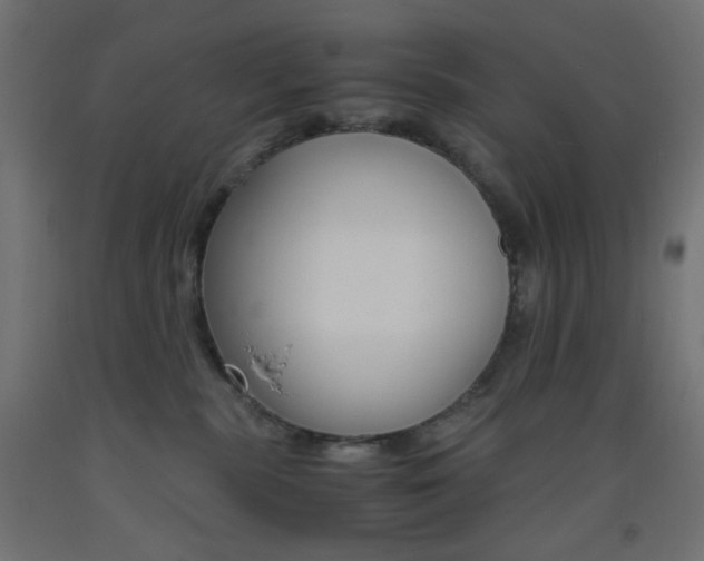X0000093530283200710121155