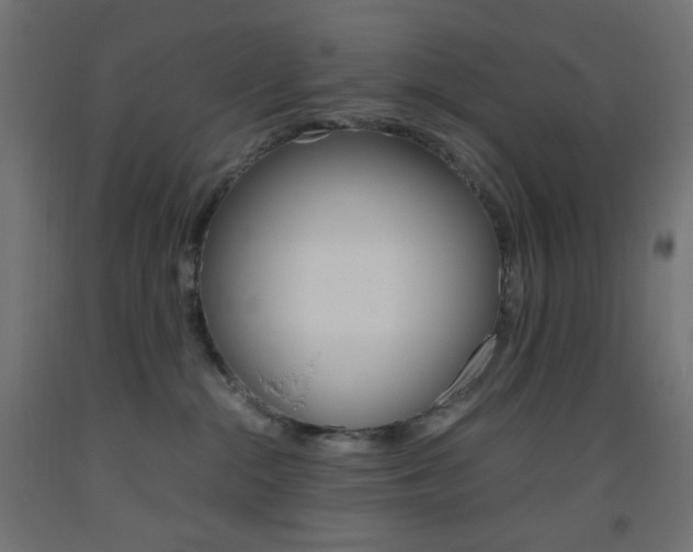 X0000093530284200710121155