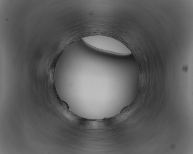 X0000093530286200710121155