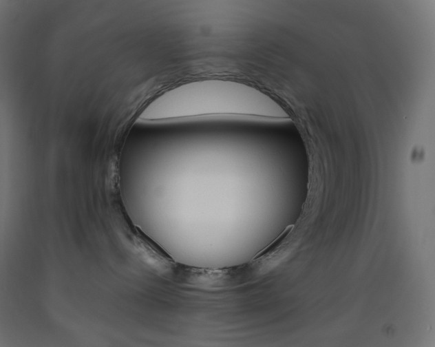 X0000093530288200710121155