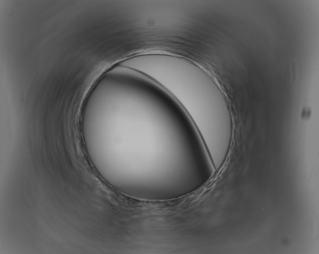 X0000093530289200710121155