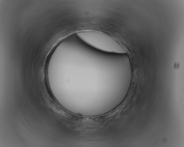X0000093530290200710121155