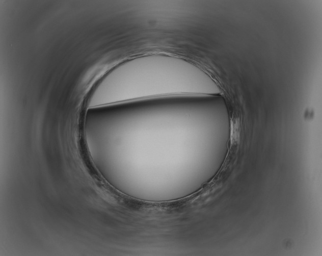 X0000093530291200710121155