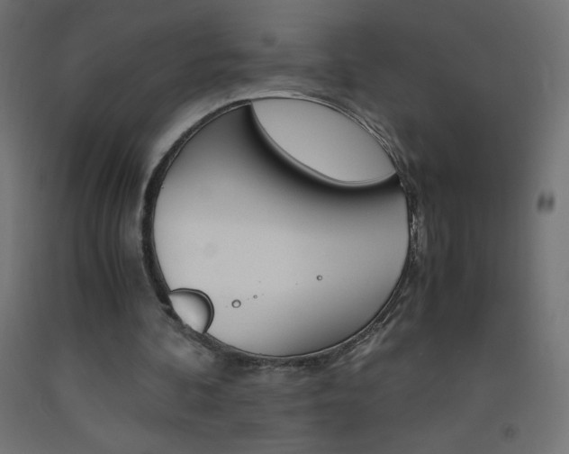 X0000093530292200710121155