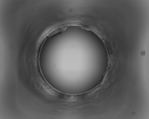X0000093530293200710121155