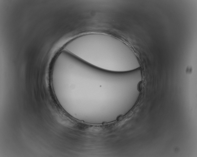 X0000093530294200710121155