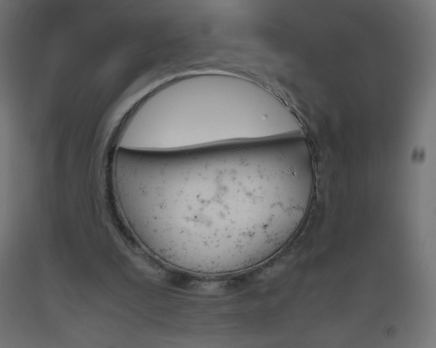 X0000093530295200710121155