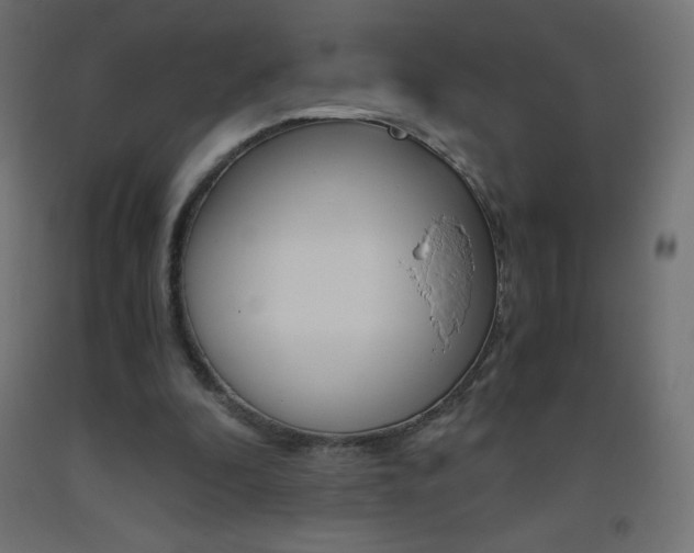 X0000093530296200710121155