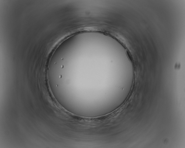 X0000093530297200710121155