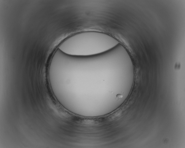 X0000093530298200710121155