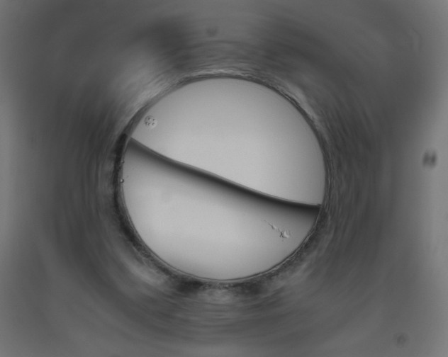 X0000093530299200710121155