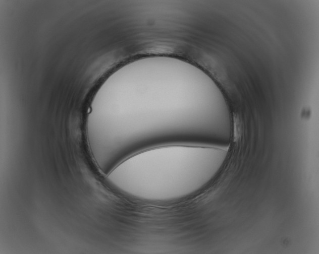 X0000093530300200710121155