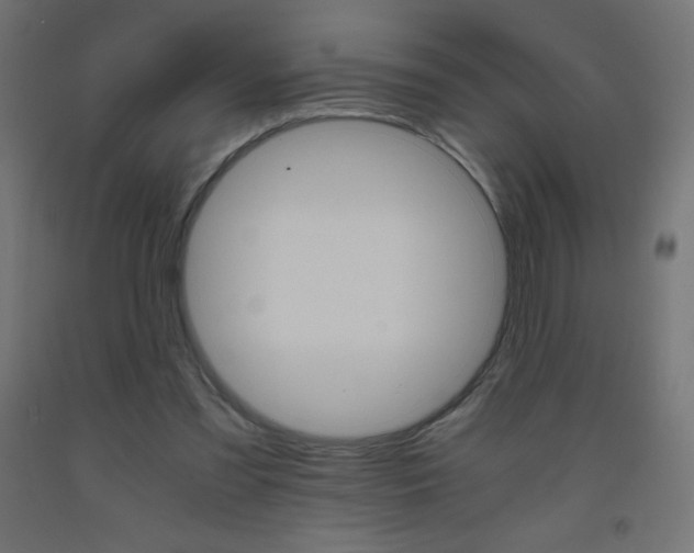 X0000093530301200710121155