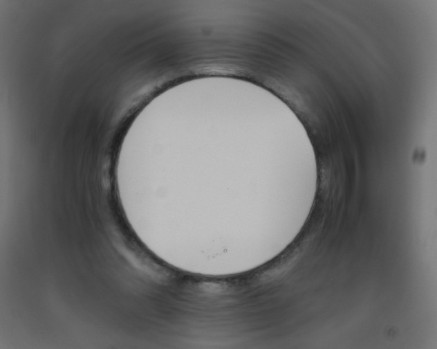 X0000093530302200710121155