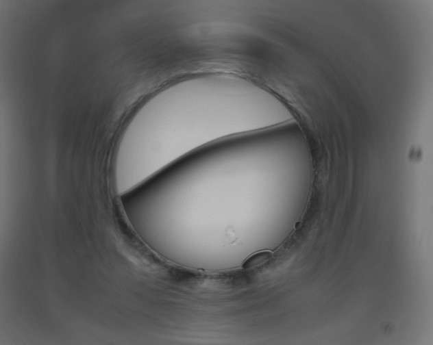 X0000093530303200710121155